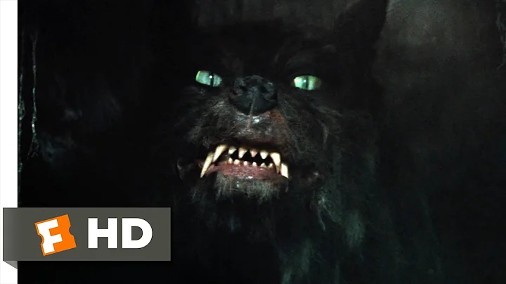 The Neverending Story (7/10) Movie CLIP - Come for...