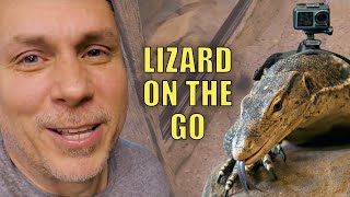 STRAPPED A GoPro on my GIANT LIZARD and LET  IT LOOSE IN MY NEW  REPTILE ZOO!! | BRIAN BARCZYK