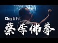 China Kungfu: Choy Li Fut