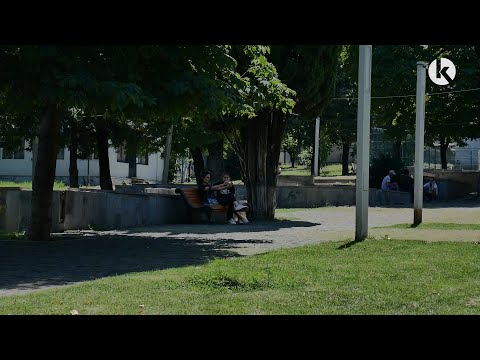 ახალი ბაღი