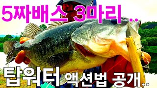 탑워터 액션법 공개! 5짜배스 3마리가 텅! 눈뽕  맞은날 최프로티비 230화