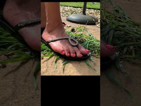 Garden Crush Walkover Crush Weed Accidental Crush Fetish Casual Crush Black Flip Flops #shorts