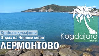 видео: Пляж в Лермонтово  / Отдых в Лермонтово 2022  / Отель Виктория Лермонтово / КогДА ЖаРА! картинка: Пляж в Лермонтово  / Отдых в Лермонтово 2022  / Отель Виктория Лермонтово / КогДА ЖаРА!