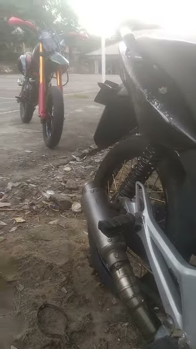 Tiger pakai knalpot pro liner