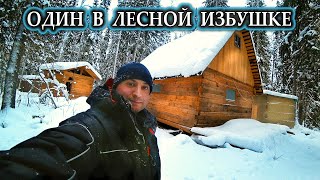 видео: ОДИН В ТАЙГЕ \ В ЛЕСНУЮ ИЗБУ ПРИЕХАЛ, А ТАМ ГОСТИ ОСТАВИЛИ... \ ДОБЫЛ СЕБЕ ОБЕД В ЛЕСУ \ #УСТАИЧ картинка: ОДИН В ТАЙГЕ \ В ЛЕСНУЮ ИЗБУ ПРИЕХАЛ, А ТАМ ГОСТИ ОСТАВИЛИ... \ ДОБЫЛ СЕБЕ ОБЕД В ЛЕСУ \ #УСТАИЧ