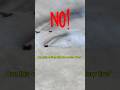 Is lithium iron phosphate batteries safer with it?