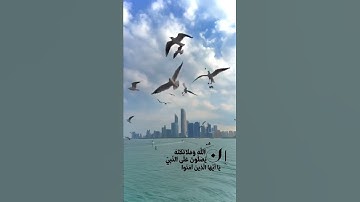 إن الله وملائكته يصلون على النبي القاري#أحمد_النفيس  #سورة_الأحزاب ❤مقاطع دينية قصيرة أجمل صوت🍃