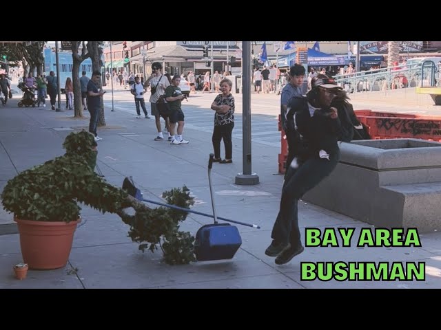 Bushman prank @ Fisherman’s Wharf SF: She tossed the broom and ran!! class=