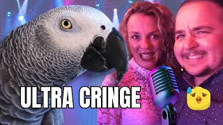 We RUINED our African Grey's Bedtime Concert 😂 | Must-Watch Cringe Fest!