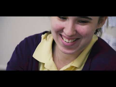 Seven Bridges School "Individual"