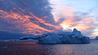The State of Our Ocean—And How Can We Protect It