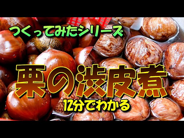 超簡単】栗の渋皮煮／つくってみたシリーズ（クリの渋皮煮） - YouTube