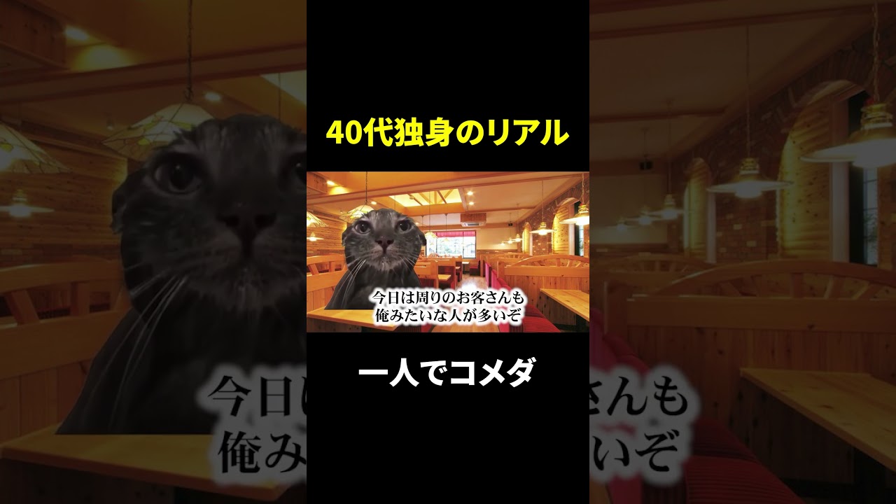 【猫ミーム】40代独身1人でコメダ