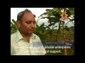 Banana Fiber 26Sep14 NTVPlus Subtitle