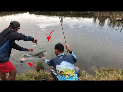 ELE ME SACANEOU/JÁ PESCARAM COM ESSE ISCA!? @bremilsonpesca6906