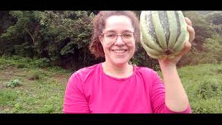 Vlog Um Dia Na Roça Fazenda Sismaria