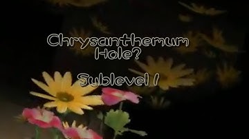 Pikmin 2 Kaizo Edition ISO Hack - Part 32 CHRTSANTHEMUM HOLE...?