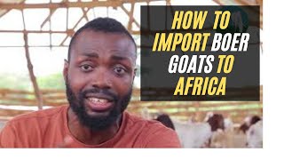 How I Import Boer & Kalahari Goats, To Ghana & Nigeria | My Real Experience