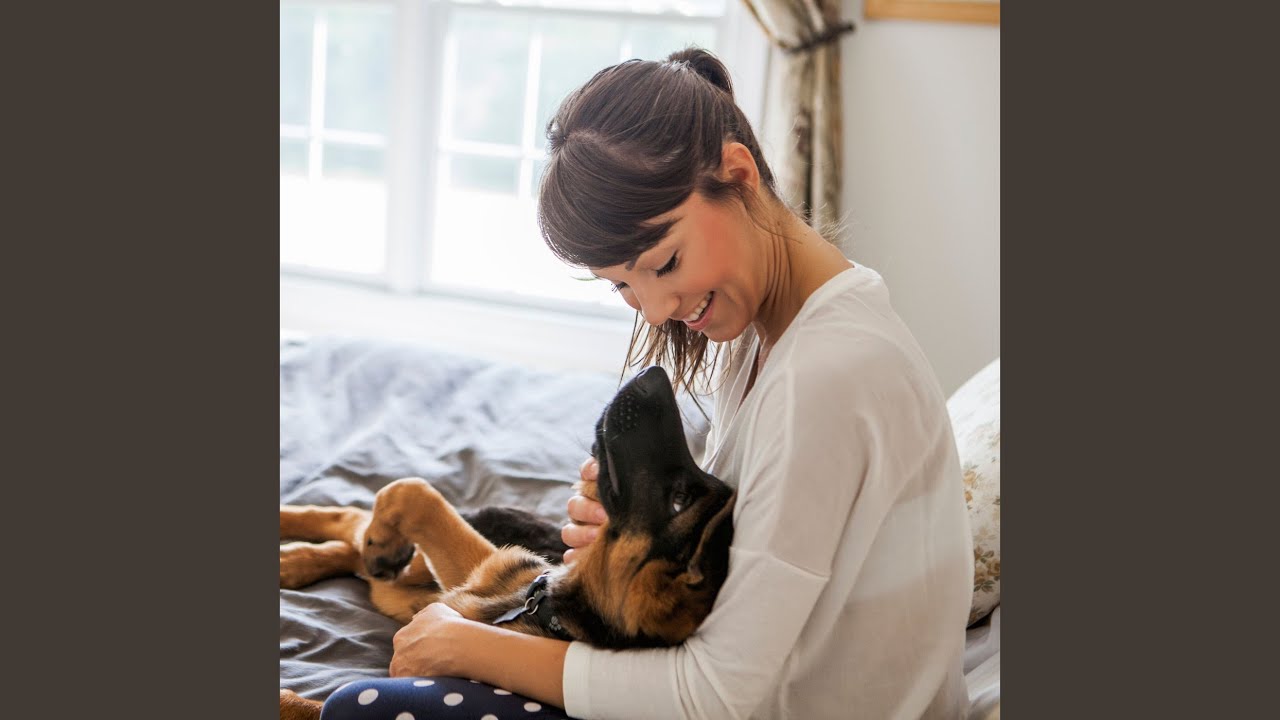 Pet Serenity Rain Melody