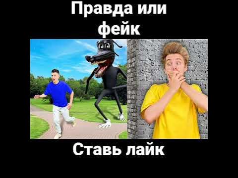 КАРТУН ДОГ НАПАЛ НА А4 И ГЛЕНТА?! - YouTube