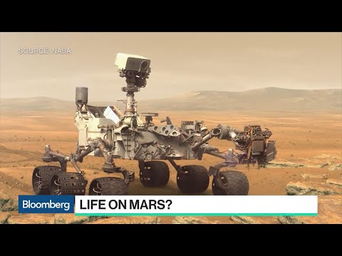 Video: New Evidence For The Existence Of Life On Mars - Alternative View
