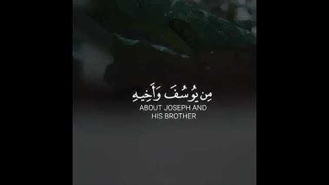 القارئ مشاري فالح سورة (يوسف)