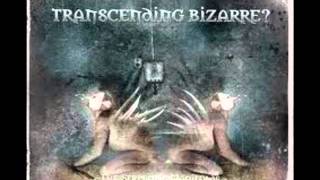 Watch Transcending Bizarre The Serpents Manifolds video