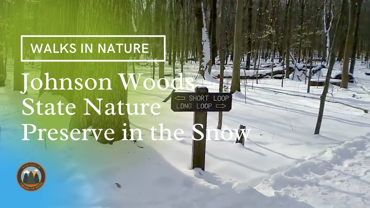 Walk at Johnson Woods State Nature Preserve | February 2021