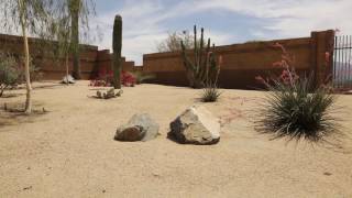 Summer Landscaping Tips - Irrigation