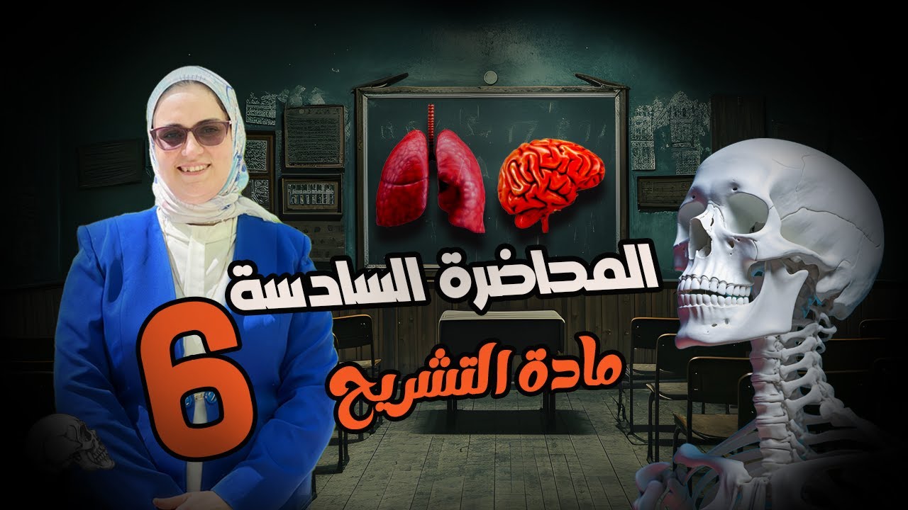 تشريح | الجهاز الليمفاوي (The Lymphatic System) |