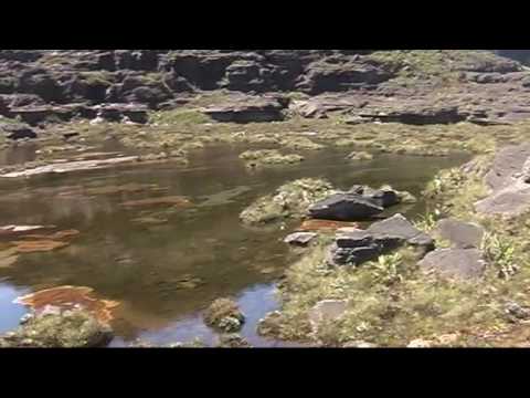 Vidéo: Mont Roraima - Le Monde Perdu - Vue Alternative