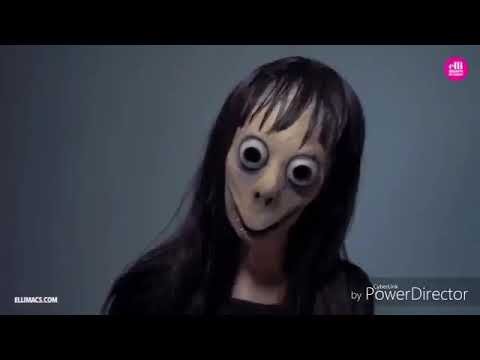 شاهد ضهور مومو كريبي 