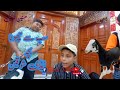 Karachi ka teddy ka sub sa chota shoqeen goat animals dailyvlog pets youtuber