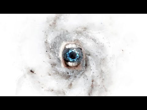 DAMMERCIDE - Octagon