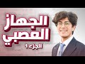 الأحياء أول حصة في الفصل الدراسي الثاني درس الجهاز العصبي منهاج الأردن أ معتصم القطاونة