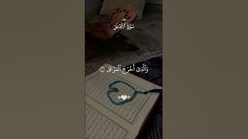 سورة الأعلى #القران #القران #quran_alkarim #قرأن