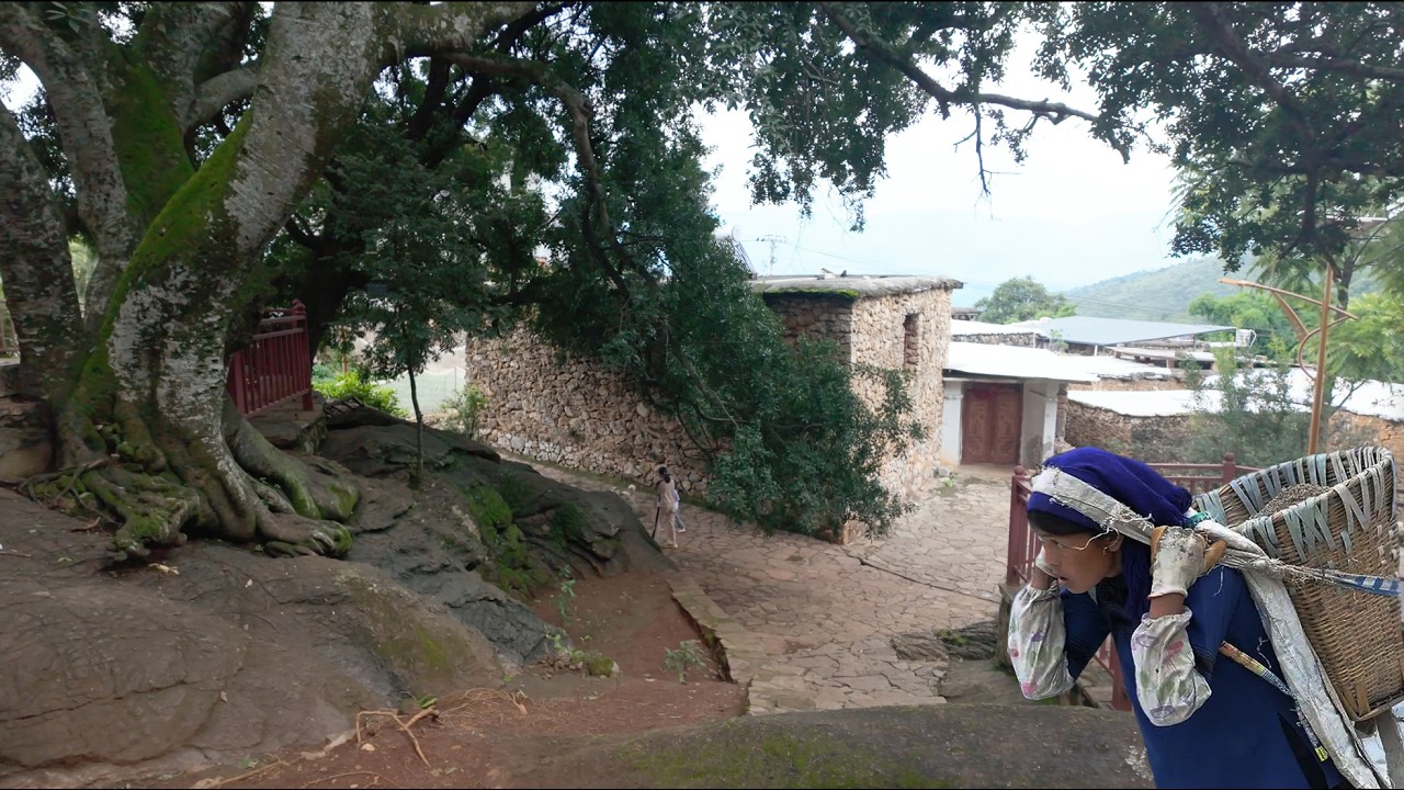 中国乡村漫步｜云南深山惊现一座用“化石”建造的村落[4K] - YouTube