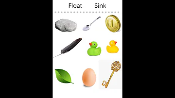 FLOAT & SINK Science Experiment