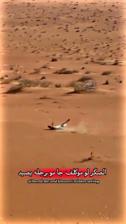 اغنية ايران 🇮🇷🇮🇶🌎👑👆🏻🌷🤎