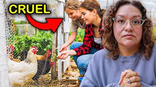 Free Range vs Enclosed Run - What's REALLY Best for Chickens