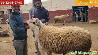 👀 💣 حياة كساب🏕  ✌️أحسن طريقة🍀 باش توصل حولي🐏 لهاد المستاوة🇲🇦❤️🪴 