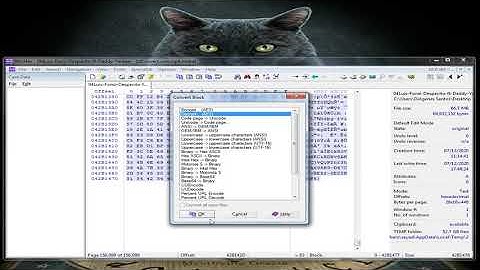 Ponto de armazenamento da chave de criptografia do Ransomware no arquivo criptografado..