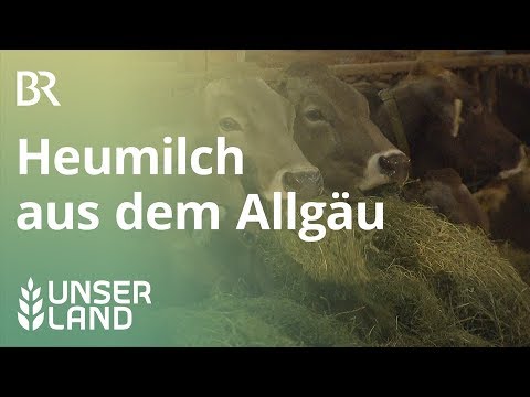 Tierwohlpreis 2020 - Milchviehlaufstall Familie Schillinger-Schwanthaler