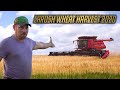 2020 LaRosh Wheat Harvest