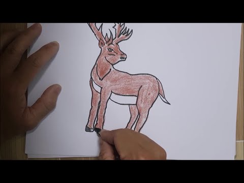 Vẽ và tô màu con nai dũng mãnh cho bé | Drawing and colouring a mighty deer for baby