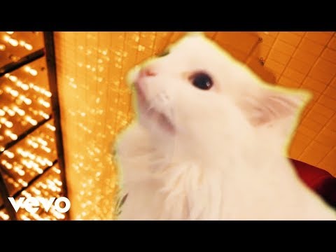 The Weeknd - Blinding Lights - Cat Cover's Avatar