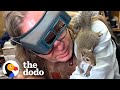 Orphaned squirrel goes to work with his human dad  the dodo
