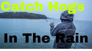 My Secrets For Catching Bass In The Rain