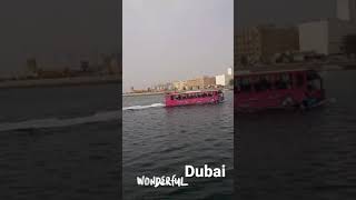 الباص المائي water bus من دبي دانة الدنيا