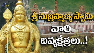 Famous Lord Subramanya Swamy Tamples In Tamilnadu Lord Murugan Temples Eyeconfacts